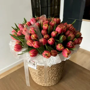 101 tulipan w koszyku