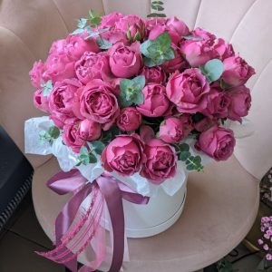 Flowerbox "Misty bubbles"