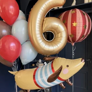 Zestaw balonów #329 balon Pies i piłka