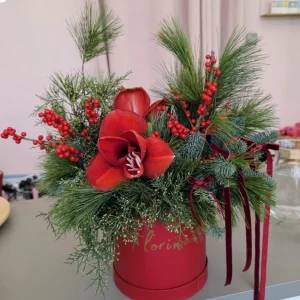 Flowerbox #26 amarylis i nobilis