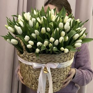 Kosz #18 białych tulipanów